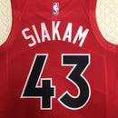 Regata Toronto Raptors Icon Edition 20/23 - Box 114