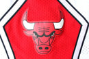 Short Chicago Bulls Association Edition
