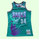 Regata Milwaukee Bucks Mitchell & Ness Alternative Edition 96/97 - Box 114