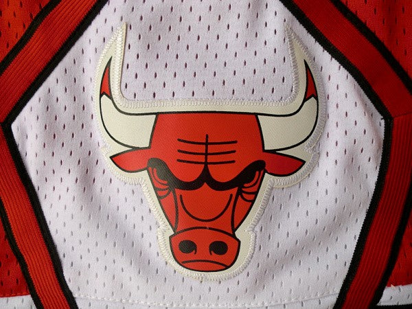 Short Chicago Bulls Icon Edition