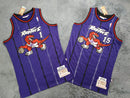Regata Toronto Raptors Mitchell & Ness Away 98/99 - Box 114