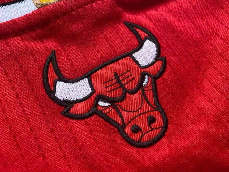 Regata Chicago Bulls Away Adidas Jordan - Box 114